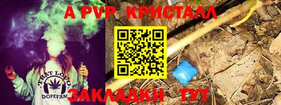 СК Абакан