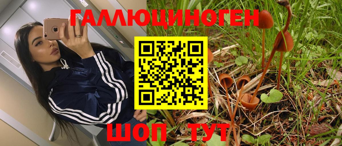 Галлюциногенные грибы Magic Shrooms  Галлюциногенные грибы Magic Shrooms  Гусиноозёрск 