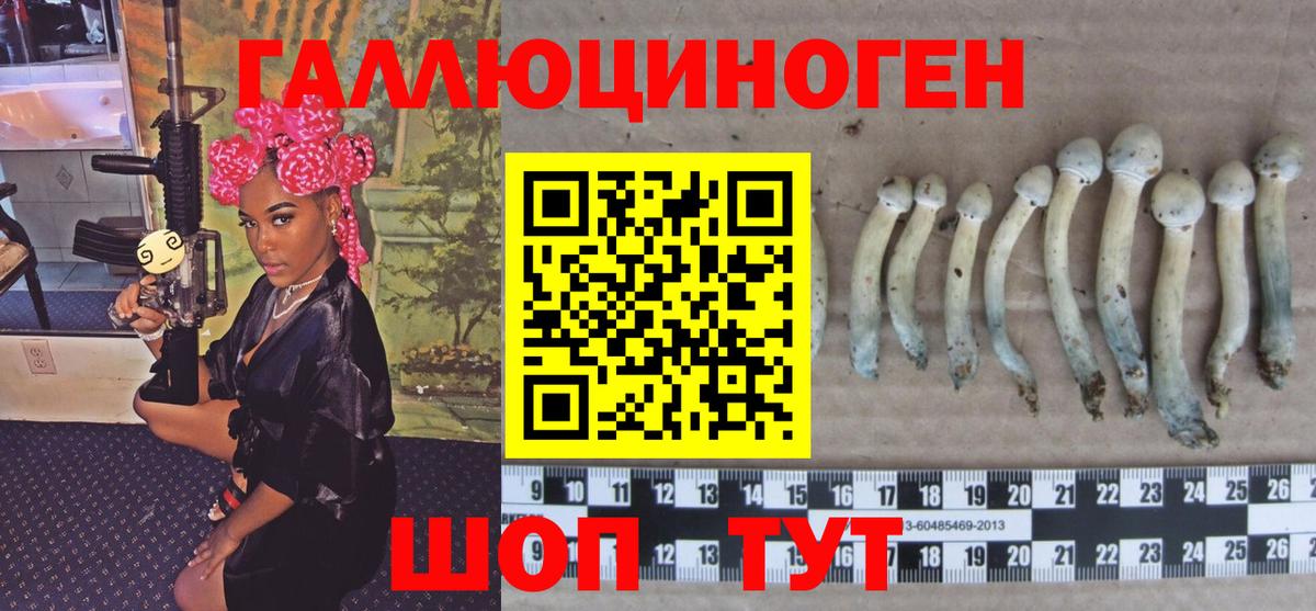 Галлюциногенные грибы мицелий  Вход с VPN  Галлюциногенные грибы Cubensis  Гусиноозёрск 