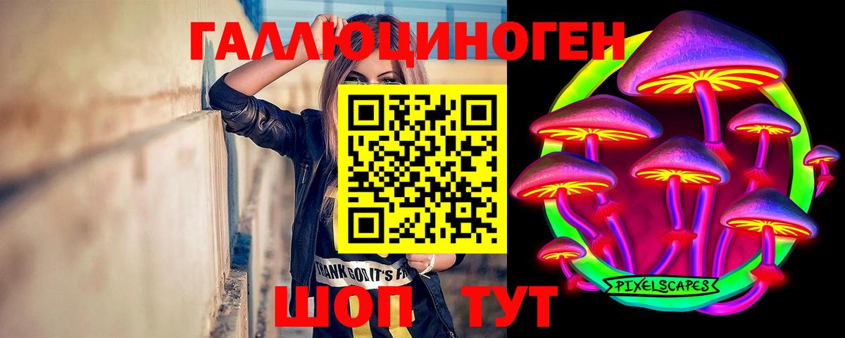 Псилоцибиновые грибы ЛСД  Вход с VPN  Гусиноозёрск 